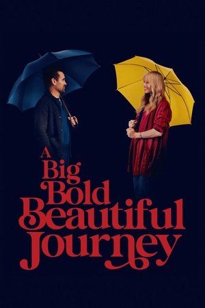 โปสเตอร์หนัง A Big Bold Beautiful Journey (2025) ขับตรงไปเล็กน้อยบนถนนแห่งรัก ปี 2025