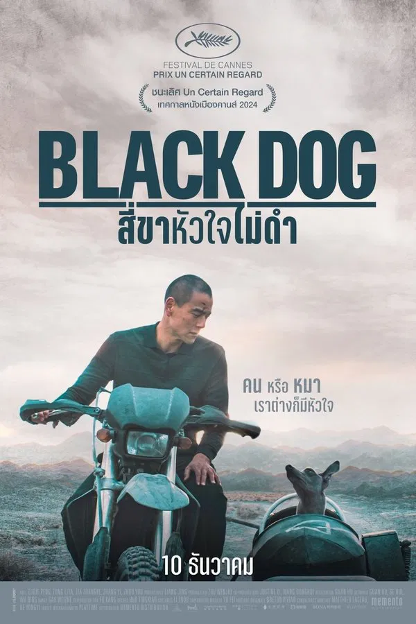 โปสเตอร์หนัง Black Dog (2024) สี่ขาหัวใจไม่ดำ ปี 2024