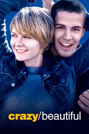 โปสเตอร์หนัง Crazy/Beautiful (2001) รักร้อน วัยแรง ปี 2001