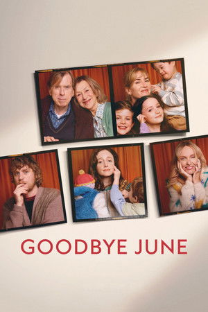 โปสเตอร์หนัง Goodbye June (2025) ลาก่อน จูน ปี 2025