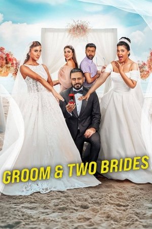 โปสเตอร์หนัง Groom & Two Brides (2025) หนึ่งเจ้าบ่าว สองเจ้าสาว ปี 2025