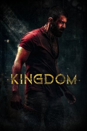 โปสเตอร์หนัง Kingdom (2025) ฝ่าภารกิจเดือด ปี 2025