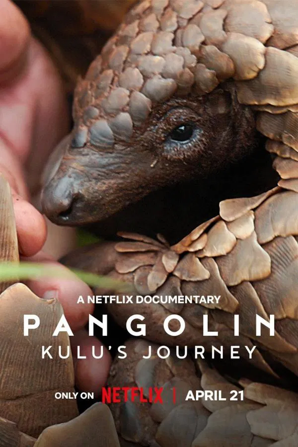 โปสเตอร์หนัง Pangolin: Kulu’s Journey (2025) การเดินทางของคูลู ปี 2025