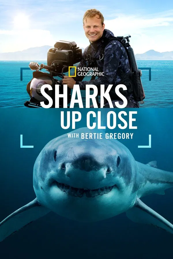 โปสเตอร์หนัง Sharks Up Close with Bertie Gregory (2025)