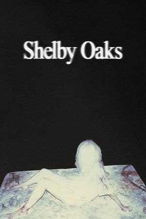 โปสเตอร์หนัง Shelby Oaks (2025) เชลบี้ โอคส์ คลิปเฮี้ยน คดีหลอน ปี 2025