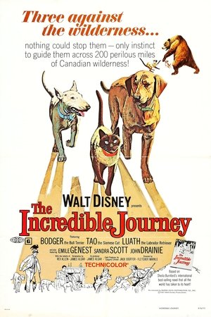 โปสเตอร์หนัง The Incredible Journey (1963) ปี 1963