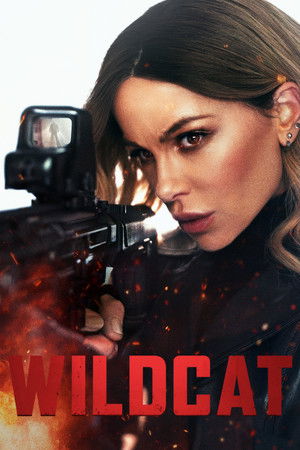โปสเตอร์หนัง Wildcat (2025) ไวลด์แคท สวยต้องปล้น ปี 2025