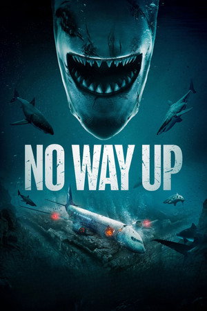 โปสเตอร์หนัง No Way Up (2024) งาบคลั่งไฟลต์ ปี 2024