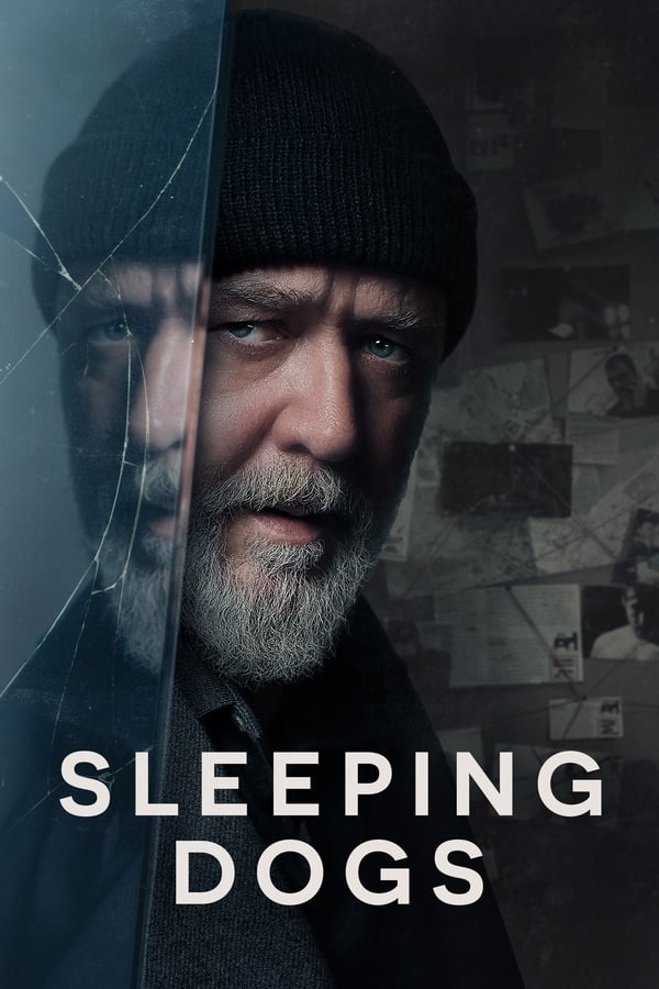 โปสเตอร์หนัง Sleeping Dogs (2024) อย่าแหย่หมาหลับ ปี 2024