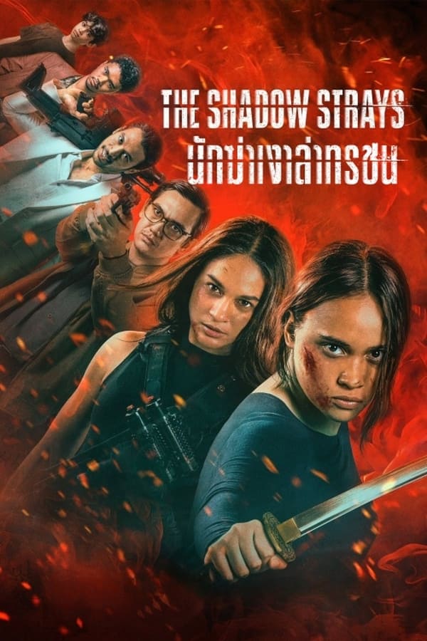 โปสเตอร์หนัง The Shadow Strays (2024) นักฆ่าเงาล่าทรชน ปี 2024